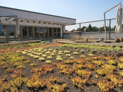 Zahrada v první letní sezóně užívání