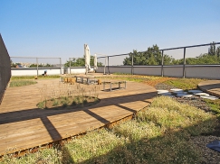 Zahrada v první letní sezóně užívání