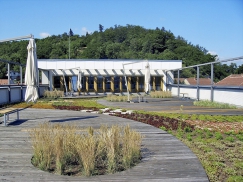 Zahrada v první letní sezóně užívání