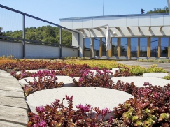 Zahrada v první letní sezóně užívání