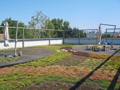 Zahrada v první letní sezóně užívání