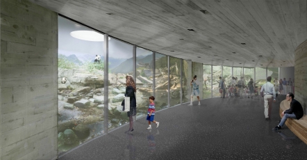 Expozice pand velkých