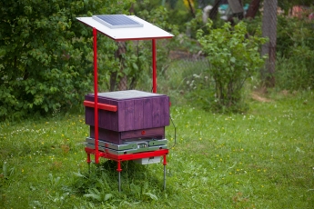 Tomáš Nezval, BeeSpy