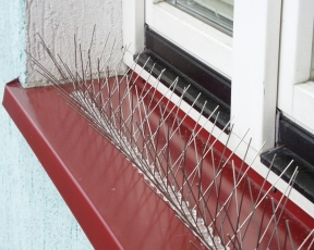 Hrotový systém chrání majetek před holuby i jiným ptactvem