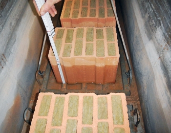 Obr. 1: Simulace cihel ponechaných v kaluži vody