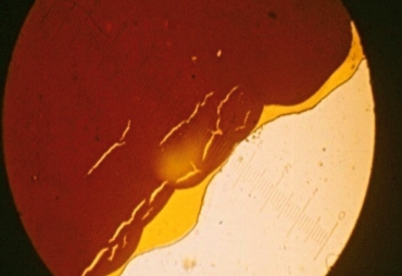 Obr. 17: Mikrofotografie směsi asfaltu a polybutenu – oddělování fází ve směsi, která byla brzy po přípravě zdánlivě stabilní a homogenní