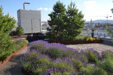 3. místo: Střešní zahrada administrativní budovy Trinity, Brno