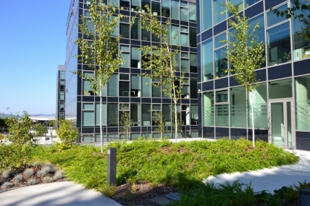 3. místo: Zelená střecha podzemního parkoviště – Campus Science Park-Building C v Brně