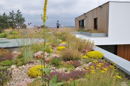 1. místo: Zelená střecha rodinného domu na Růmech ve Zlíně