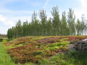 2. místo: Multifunkční sklad se zastřešenou pergolou, Bášť