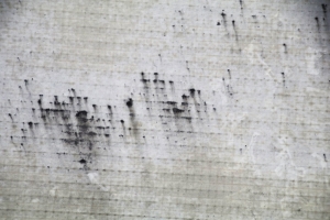 Obr. 4: Degradace povrchu fóliové hydroizolace