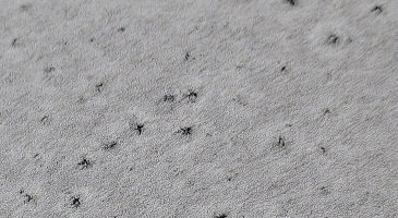 Obr. 5: Popraskaný povrh hydroizolačního materiálu