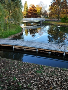 Rekonstrukce Šimkových sadů v Hradci Králové, Žárovka architekti, Florat, foto Šárka Dlouhá