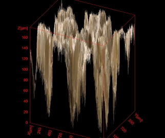 Obr. 14: Modelace ploch zdegradovaného povrchu fóliové hydriozolace