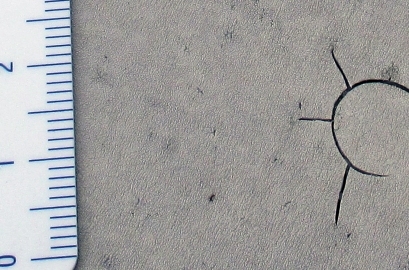 Obr. 15: Obrázek dokumentující rozpraskání povrchu zkoumané fólie včetně masivní praskliny v pravé části. Tento defekt je způsobem kroupami.