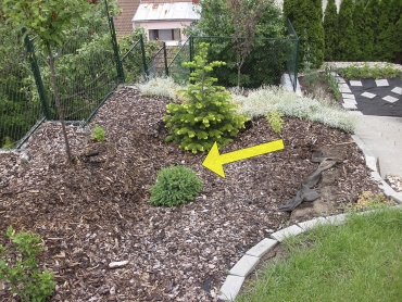 Obr. 10: Deformace (šipka) terénu za zdí, vegetace, obrubníků a schodů