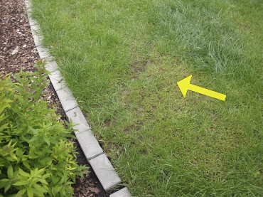 Obr. 11: Odtrhy (šipka) v terénu za zdí