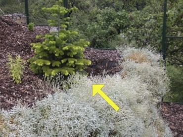 Obr. 12: Deformace (šipka) terénu za zdí