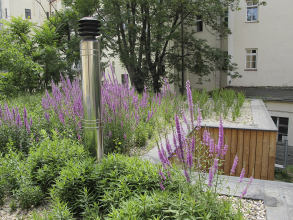 Střešní zahrada zblízka