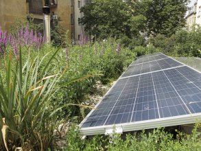 Střešní zahrada zblízka