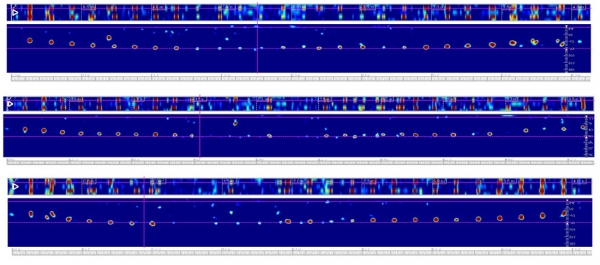 Obr. 6: Trojice liniových skenů přístrojem PS 1000; skeny jsou pořízené v jedné linii z horního povrchu železobetonové desky, každý sken začíná a končí nad základovým pasem. Na skenech je v části řezu dobře patrné prověšení kari sítí a současně oblast, kde leží výztuž přímo na štěrkovém loži (výztuže jsou zde méně patrné díky tomu, že leží prakticky ve spodním líci desky).