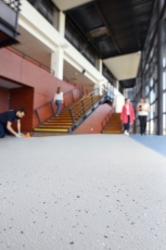 Gerflor Attraction