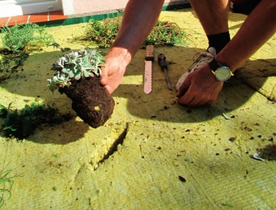 Hydrofilní desky ISOVER pro vegetační střechy