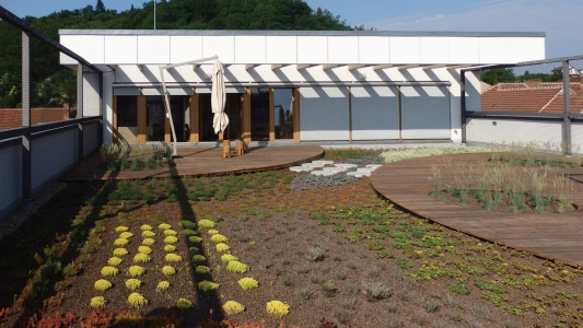 Realizace vegetační střechy na rodinném domě