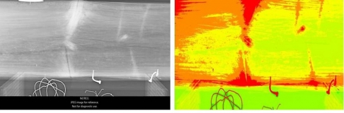 Obr. 2: Ukázka vyhodnocení poškození v celém objemu dřeva (příklad vyhodnocení v podélném směru) 