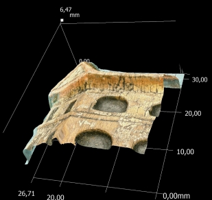 Obr. 6: Ukázka 2D a 3D analýz povrchu zkoumané části dřevěného artefaktu