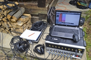 Obr. 8: Ukázka akustické detekce aktivity larev v dřevěných prvcích roubení Chalupy z Prlova a radnice ve Valašském muzeu v přírodě, Rožnov pod Radhoštěm