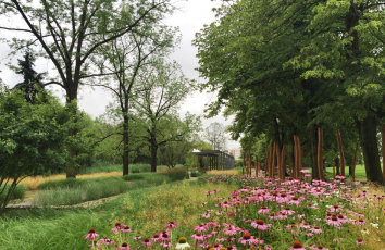 Revitalizace Tyršových sadů v Pardubicích