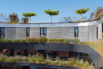 Veřejná zelená střecha intenzivní, 1. místo: Drn – zelená střecha mezi věžemi, foto archiv odborné sekce Zelené střechy při SZÚZ