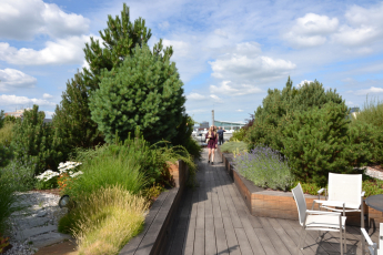 Veřejná zelená střecha intenzivní, 2. místo: Střešní terasa budovy Delta, foto archiv odborné sekce Zelené střechy při SZÚZ