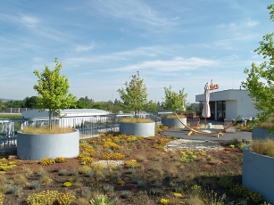 Veřejná zelená střecha extenzivní, 2. místo: Zelená střecha s vůní kávy – nástavba na administrativní budově Delikomat v Modřicích, foto archiv odborné sekce Zelené střechy při SZÚZ