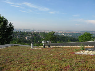 Zelená střecha na rodinném domě, 1. místo: Villa Sophia, foto archiv odborné sekce Zelené střechy při SZÚZ