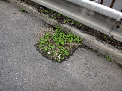 Nefunkční odvodňovač mostu