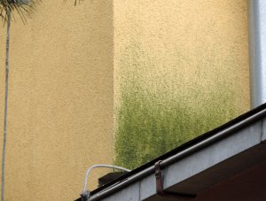 Příklad rizikového místa na fasádě – odstřiková zóna nad oplechováním 1