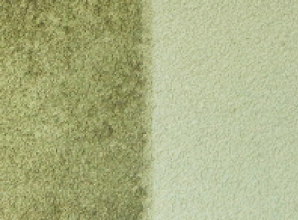 Obr. 2: Srovnávací testy systému Balclean aplikovaného na strukturovanou omítku porostlou řasami; fotokatalyticky ošetřené plochy jsou v pravých částech snímků, stav po 3–4 letech od provedení fotokatalytické povrchové úpravy