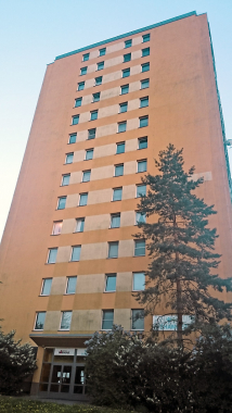 Obr. 4: Severní stěna zatepleného panelového domu postižená nárůstem řas před ošetřením systémem Balclean