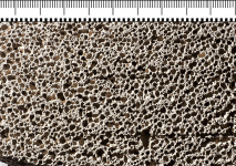 a) Snímky vzorků s 50% příměsí fluidního úletového popílku, fluidního ložového popela, skla