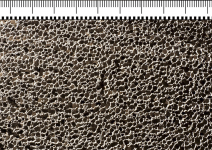 c) Snímky vzorků s 50% příměsí fluidního úletového popílku, fluidního ložového popela, skla