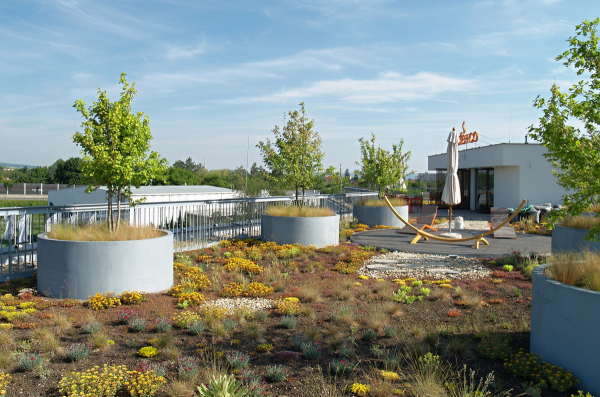 Obr. 5: Nástavba administrativního objektu firmy Delikomat