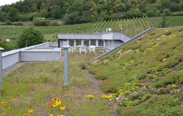 Obr. 6: Administrativní budova Botanické zahrady hl. m. Prahy