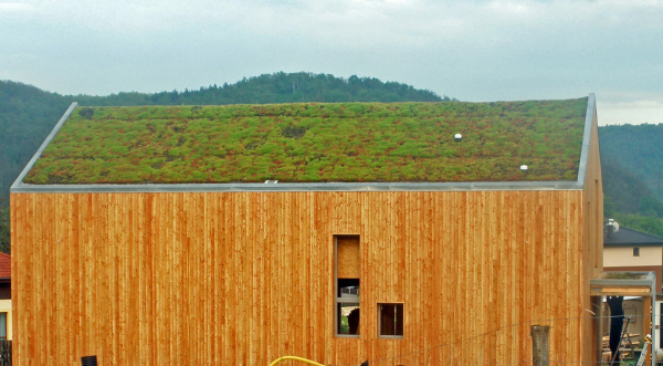 Obr. 9: Extenzivní zelená šikmá střecha na rodinném domě