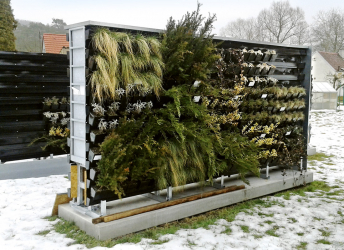 Obr. 7: Testování rostlin na zkušební stěně