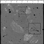 Obr. 7: Tomografický snímek struktury zkušebního tělesa 40 % US 298