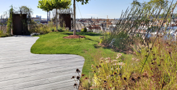 Obr. 5: Dokončená střešní zahrada