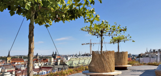 Obr. 7: Platany s lavicemi