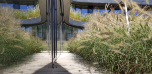 Obr. 8: Truhlíky s travinami na balkónech atria